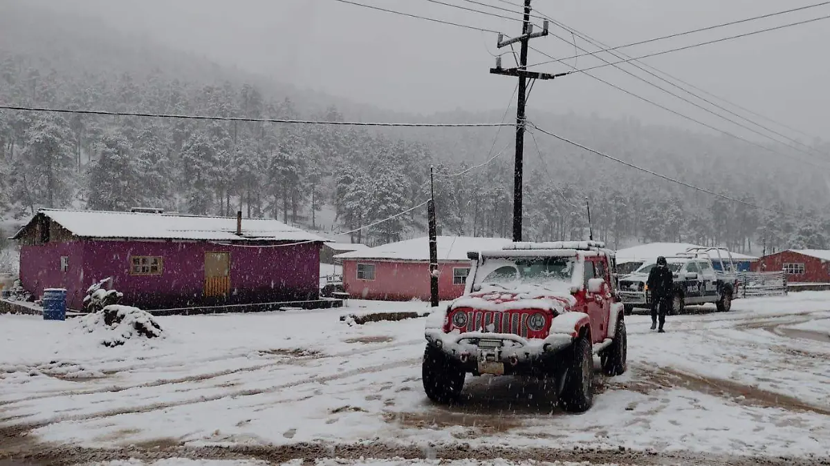 Árboles explosivos y sismos de hielo: los fenómenos que podrían ocurrir durante la tormenta invernal en Norteamérica Árboles explosivos y sismos de hielo: los fenómenos que podrían ocurrir durante la tormenta invernal en Norteamérica