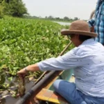 Diputada Mago Corro denuncia ante Profepa y PMA ecocidio y mortandad masiva de peces en Arroyo Hondo