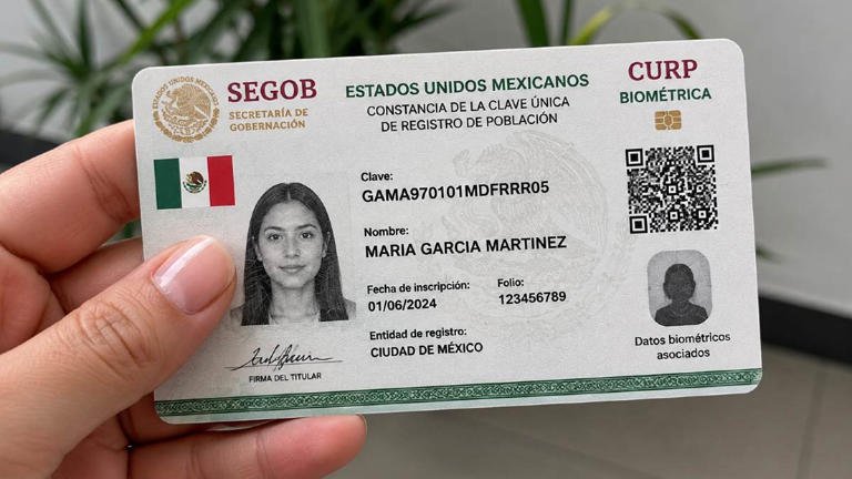 Atención. Qué pasa si no hago el trámite de la CURP biométrica a tiempo Atención. Qué pasa si no hago el trámite de la CURP biométrica a tiempo