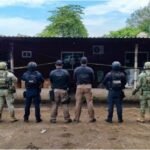 SSP y fuerzas federales aseguran armamento, granadas y droga en Tierra Blanca