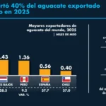 Exportaciones de aguacate batieron récord en 2025; México aportó 40% de la cuota mundial