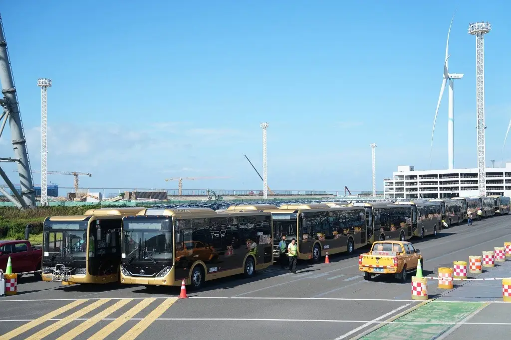 Nuevos autobuses Atenas y Totonaco ya están en aduana; alistan su envío a Veracruz