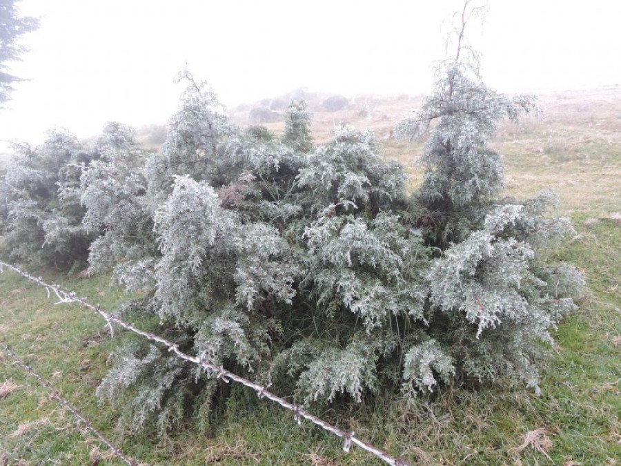 Las Vigas se prepara para temperaturas de hasta cero grados durante la temporada invernal Las Vigas se prepara para temperaturas de hasta cero grados durante la temporada invernal