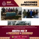 Detenidos 11 presuntos integrantes de células delictivas durante operativos coordinados